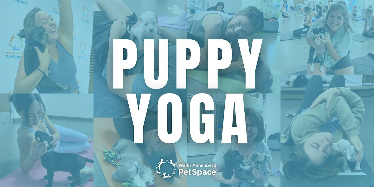 Puppy Yoga at Annenberg PetSpace