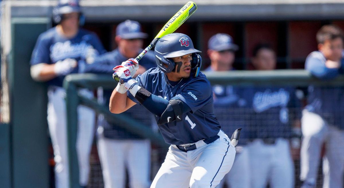 Parking Liberty Flames at Florida International Panthers Womens Basketball