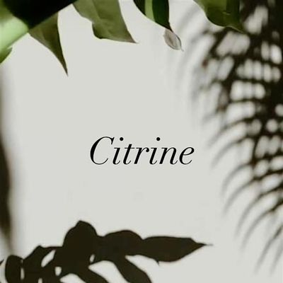 Citrine Salon PDX