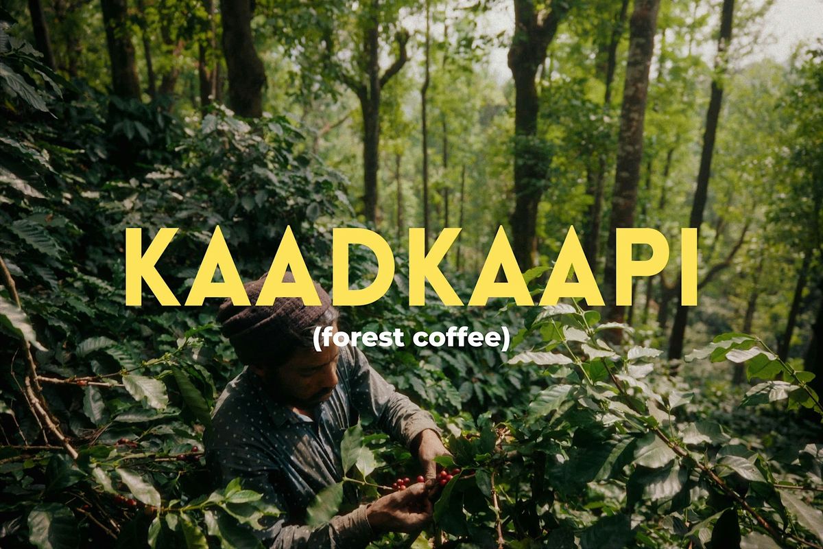 KaadKaapi Film Screening + Chat