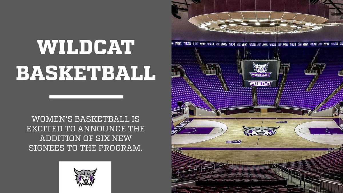 Montana State Bobcats at Weber State Wildcats Mens Basketball