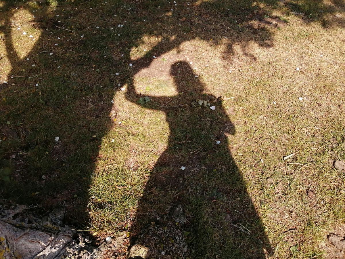 Earth Heart - journeys into body, imagination and healing retreat day