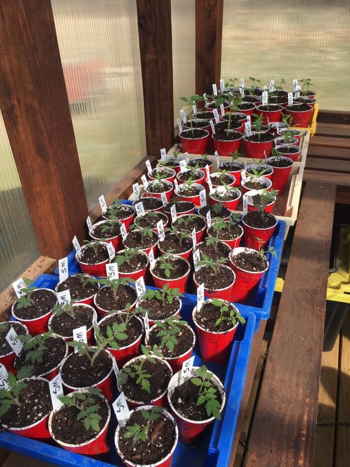 Annual Plant Sale 2901 NE 126th St, Edmond, OK 730135704, United