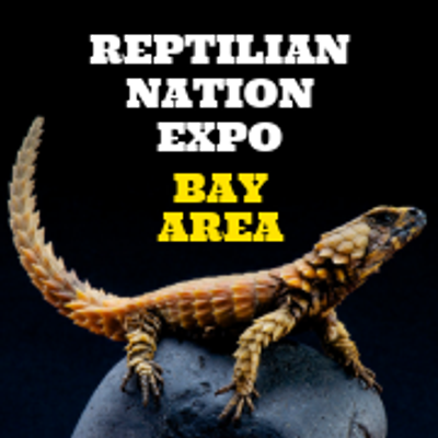 Reptilian Nation Expo -Bay Area