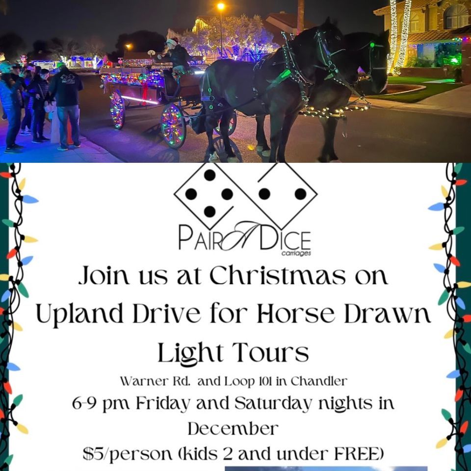 Horse & Carriage Light Tour Christmas on Upland Drive, Chandler, AZ