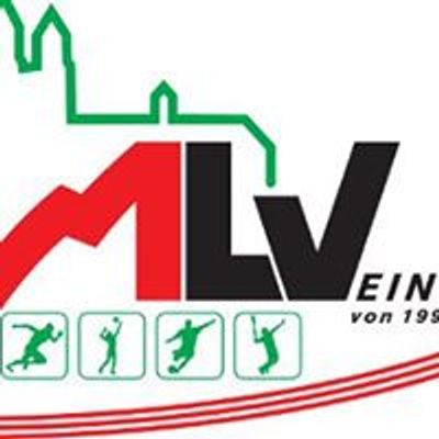 MLV Einheit Volleyball