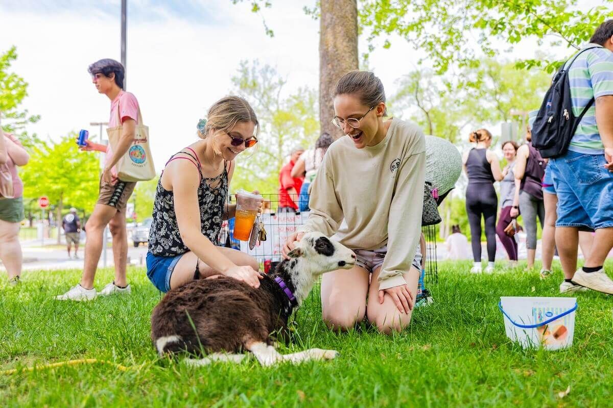 Shenandoah at Honeywell Center