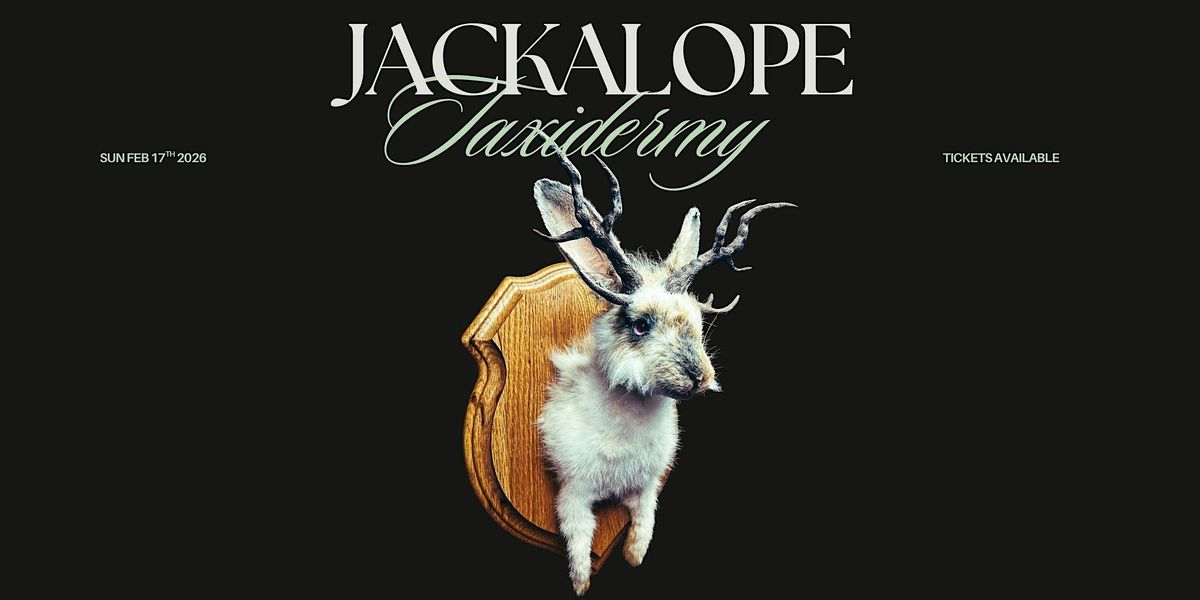Jackalope Taxidermy Workshop