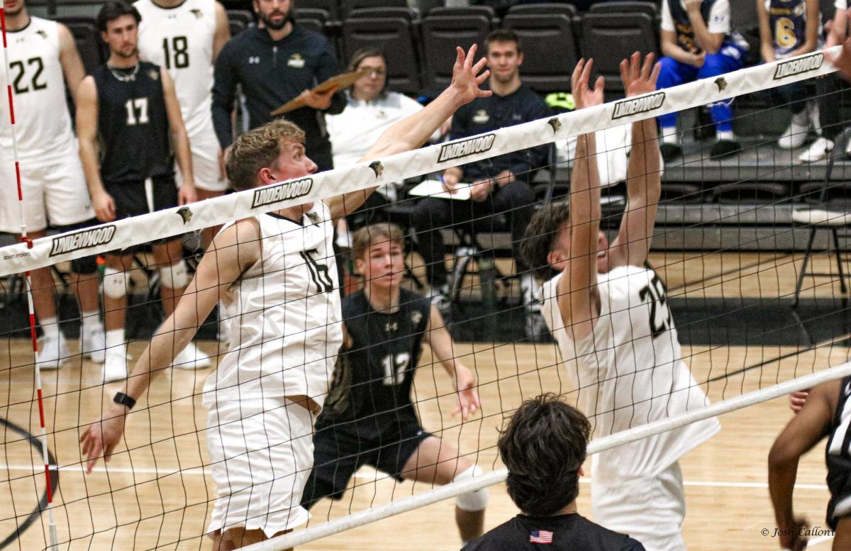 Lindenwood Lions at Long Beach State Mens Volleyball