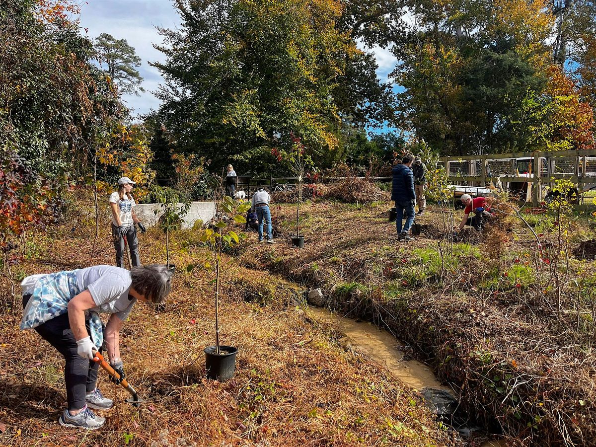 Volunteer in the Eco-Corridor: March 27