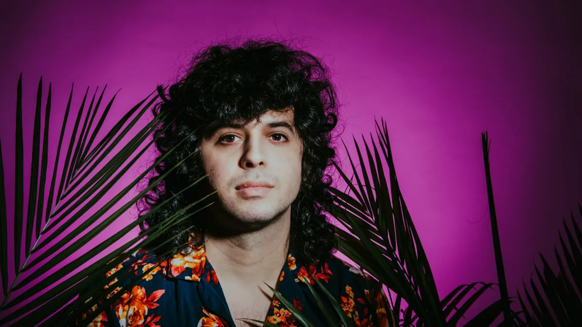 Flamingosis in San Francisco