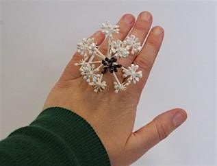 Jewellery (Experienced)- Tuesday Evening (8 Week Duration) Term 1 2026