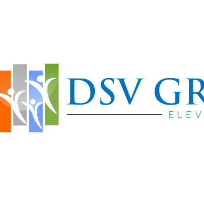 DSV GROUP ELEVATES CORP.