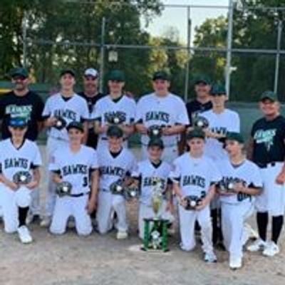 Livonia Junior Athletic League