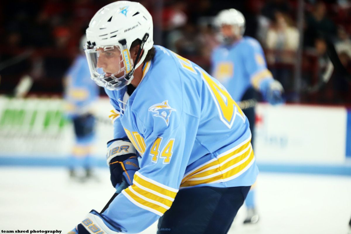 Mercyhurst Lakers vs. Long Island University Sharks
