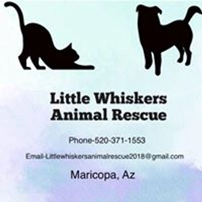 Little Whiskers Animal Rescue