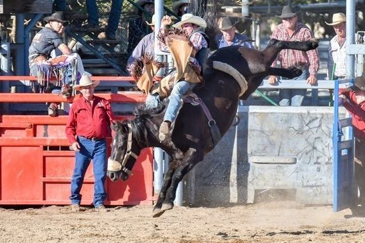 44nd Annual Isanti Rodeo 2021 | Isanti Firefighters Rodeo | July 10 to ...