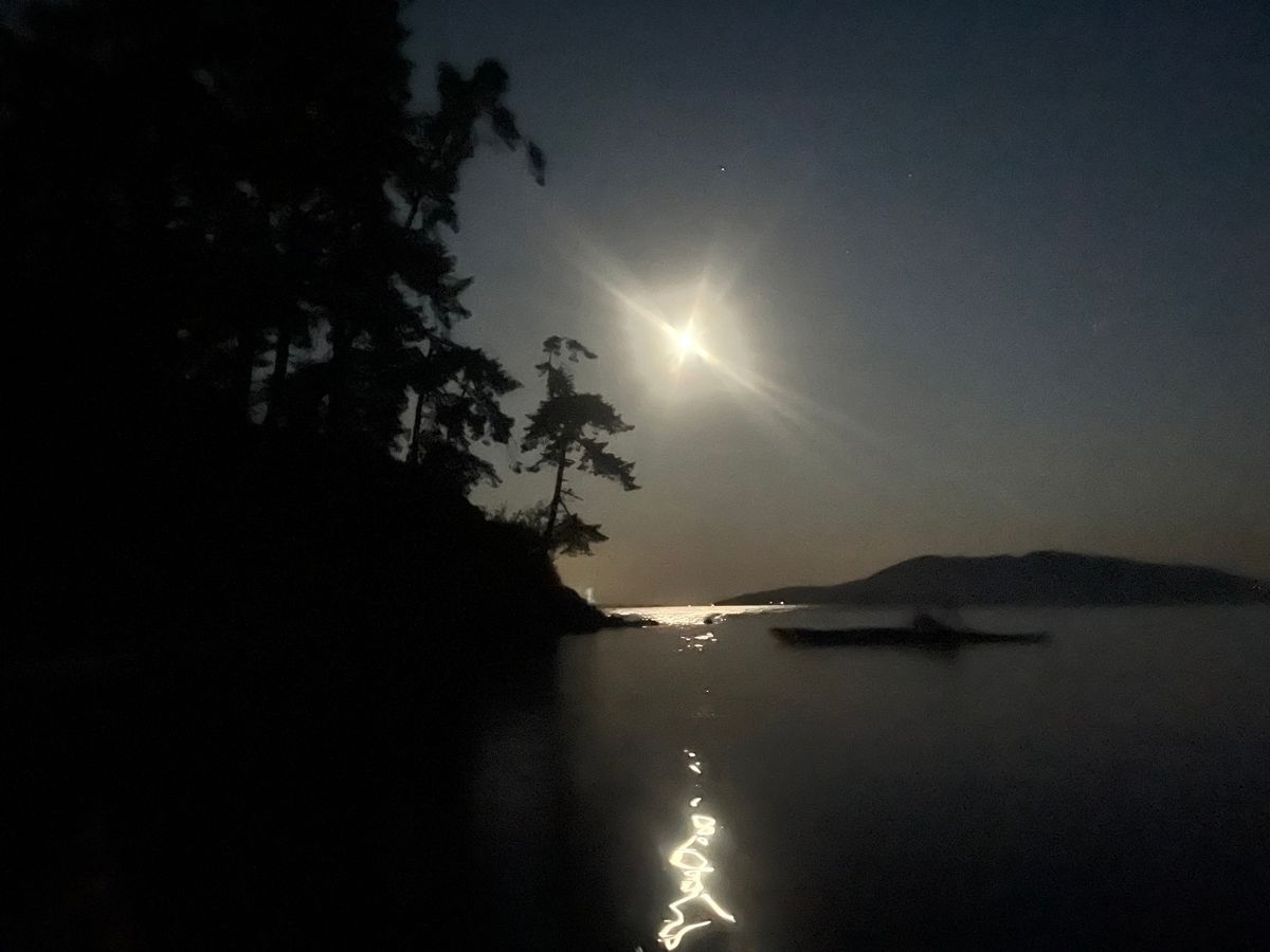 Bioluminescence Kayak Tour Larrabee State Park, Bellingham, WA