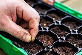 Winter Native Seed Sowing