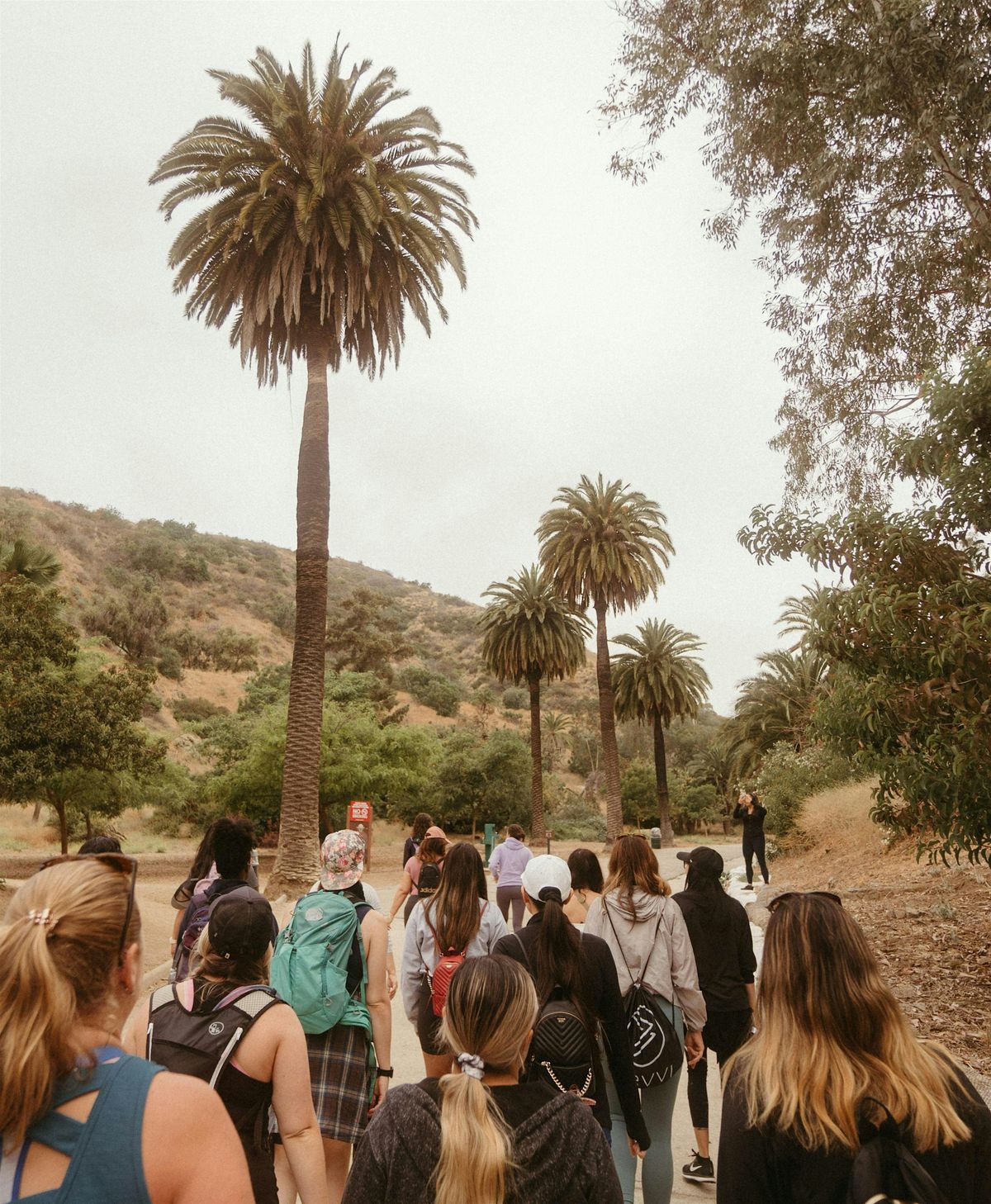 Women of Wellness Group Hike to Glendale Peak