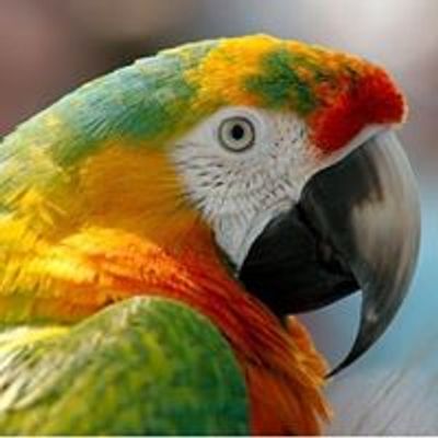 The Edmonton Pet Parrot Association  - EPPA