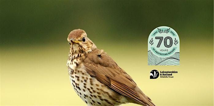 Wild Walk \u2013 A Wild Winter Wonderland