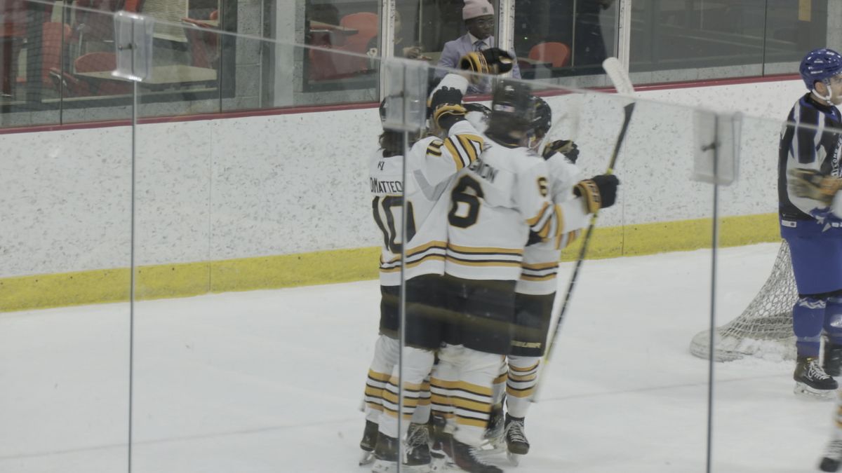 Long Beach Sharks at Binghamton Buzz