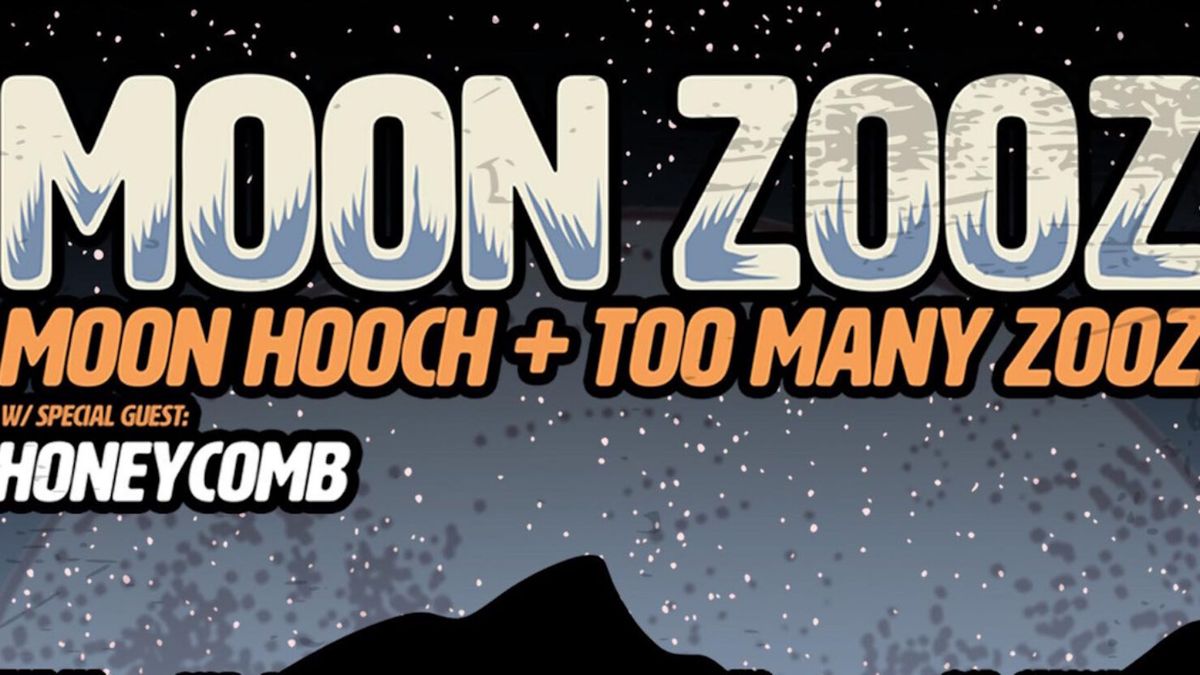 Moon Hooch