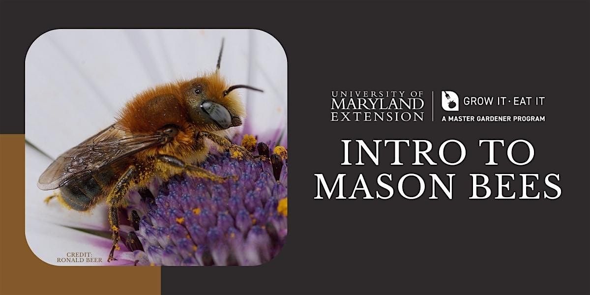 CCMG Specialty Class 2: Mason Bee House (hands-on)