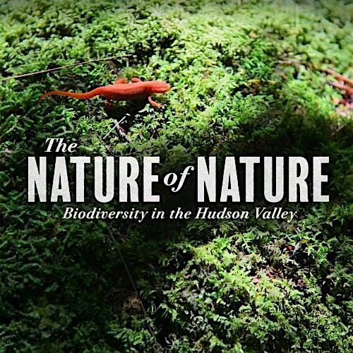 The Nature of Nature: Biodiversity in the Hudson Valley