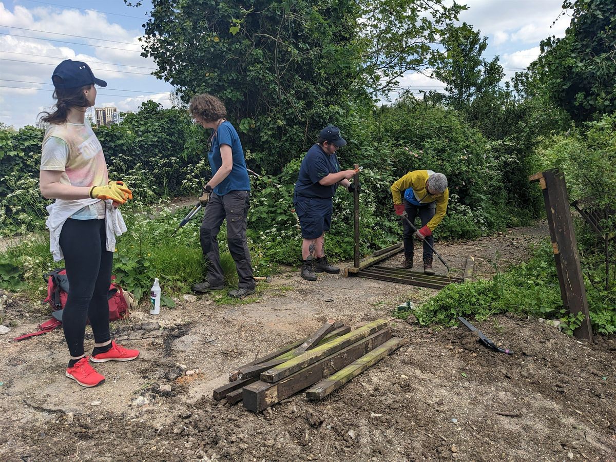 Habitat Day with The Conservation Volunteers