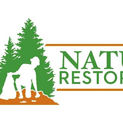 Natural Restorations