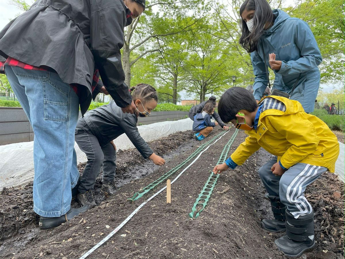 Open Farm Days at Battery Urban Farm: May and June (Multiple Dates)