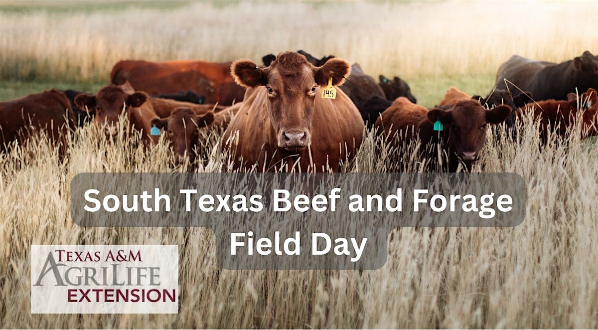 3rd Annual South Texas Beef and Forage Field Day at Beeville Station ...