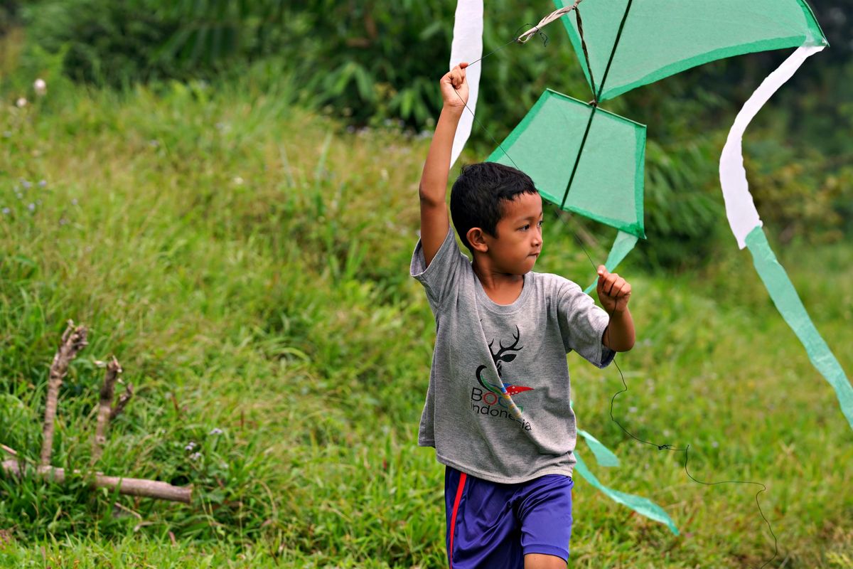 Let's Go Fly a Kite!