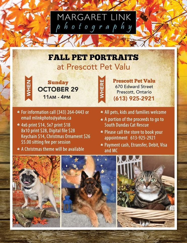 Fall Pet Portraits with Margaret Link Pet Valu (Prescott,ON