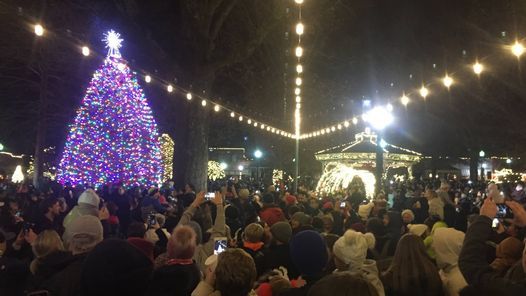 Collierville Christmas Tree Lighting