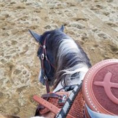 Jason Drass Horsemanship Clinics