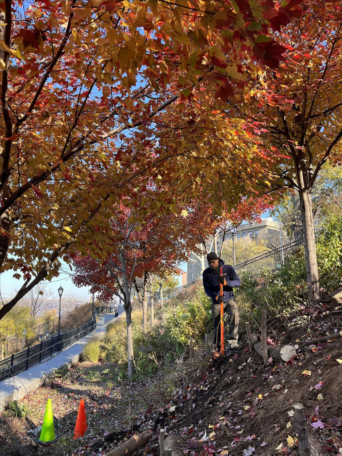 PlacePartner Opportunity: Sunset Gardening at W 153rd St