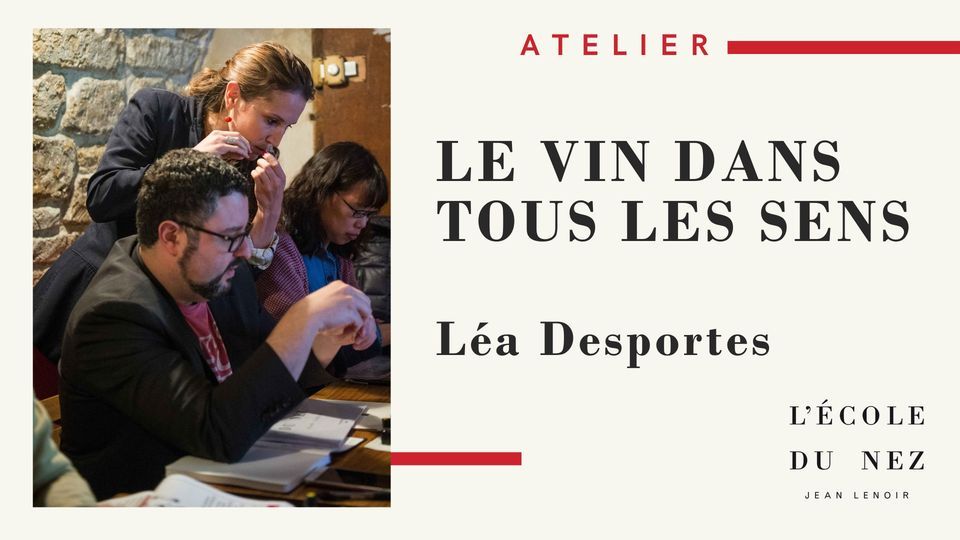Le vin dans tous les sens (3h30)