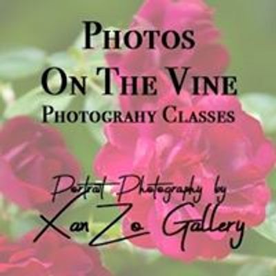 Photos On The Vine