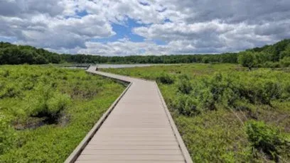 Easy Nature Walk at Huntley Meadows  (Alexandria)