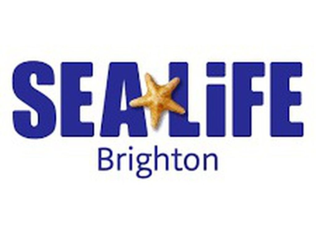 Sea Life Brighton The Sea Life