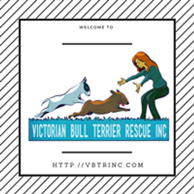 Victorian Bull Terrier Rescue Inc.