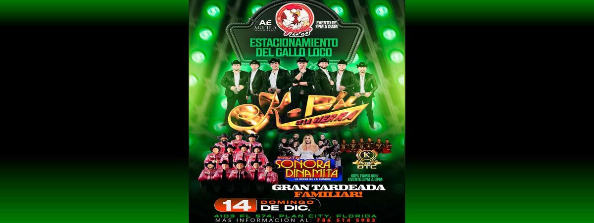 K-PAZ DE LA SIERRA & MAS