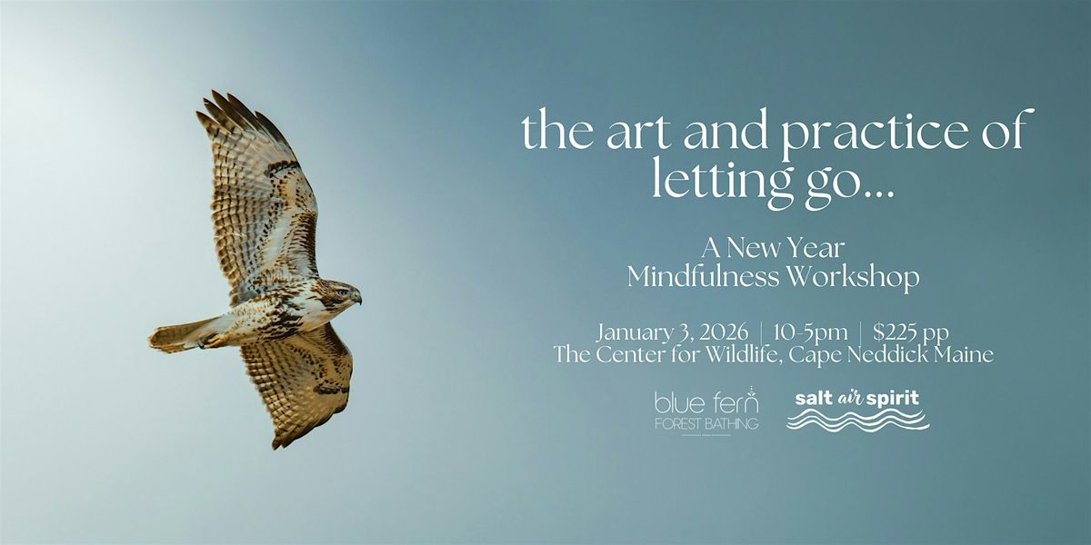 the art and practice of letting go