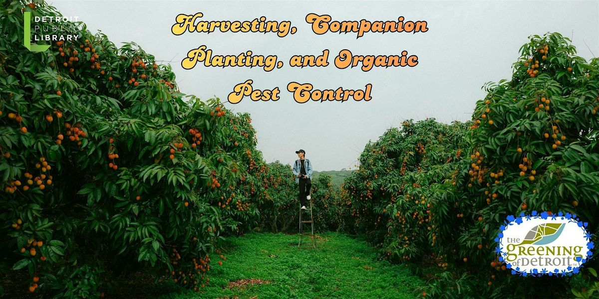 Harvesting, Companion\/Succession Planting, and Organic Pest Control