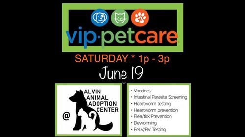 Low Cost Pet Vaccinations - VIP PetCare