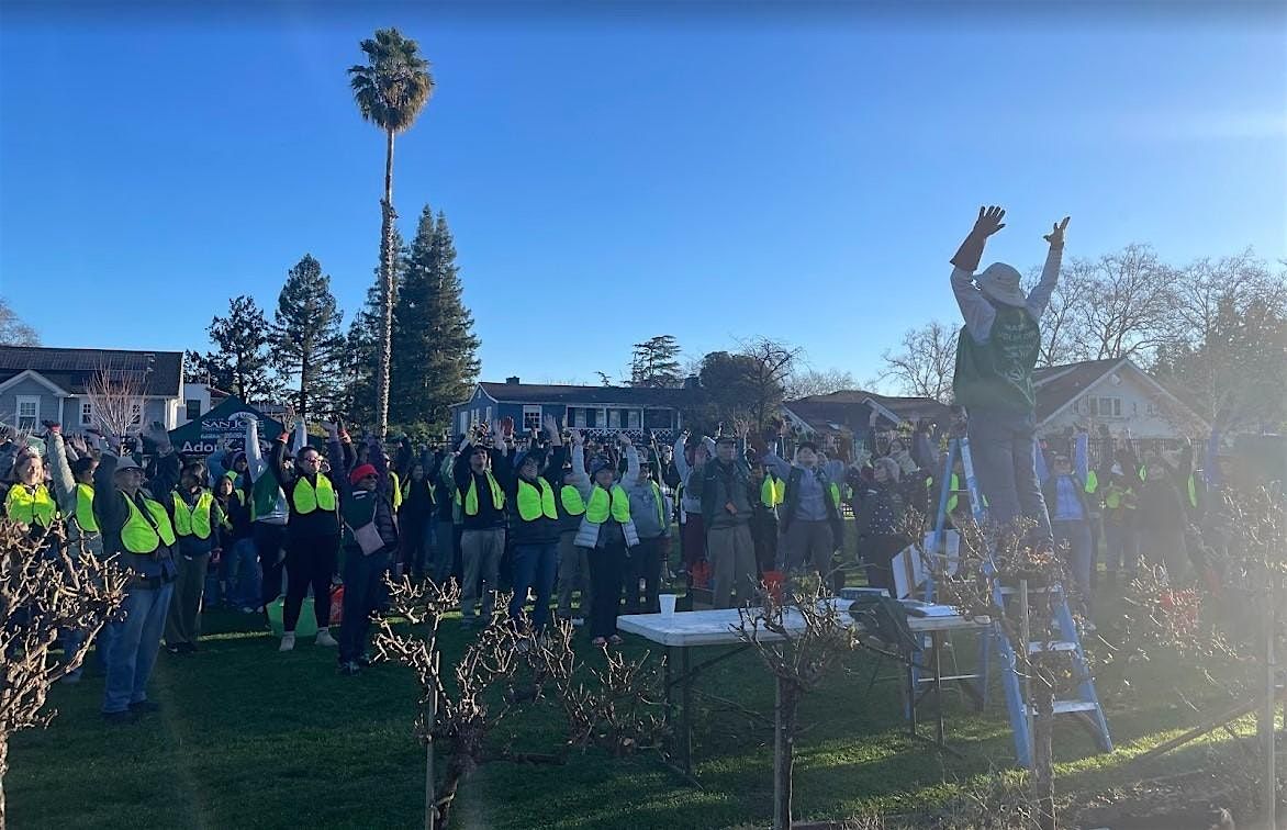 Municipal Rose Garden - Winter Clean Up