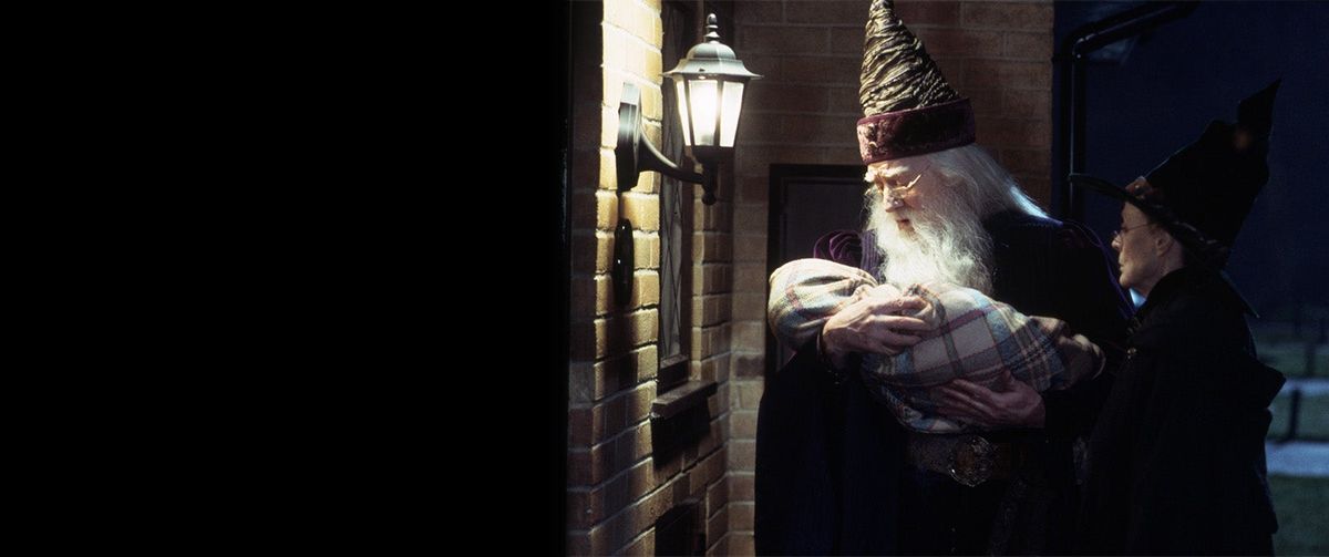 Harry Potter and the Sorcerer's Stone - Newark